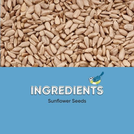 Happy Beaks - Sunflower Hearts